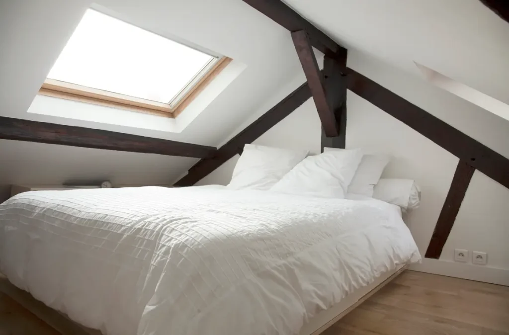 Rénovation d'un appartement rue Labrouste à Paris