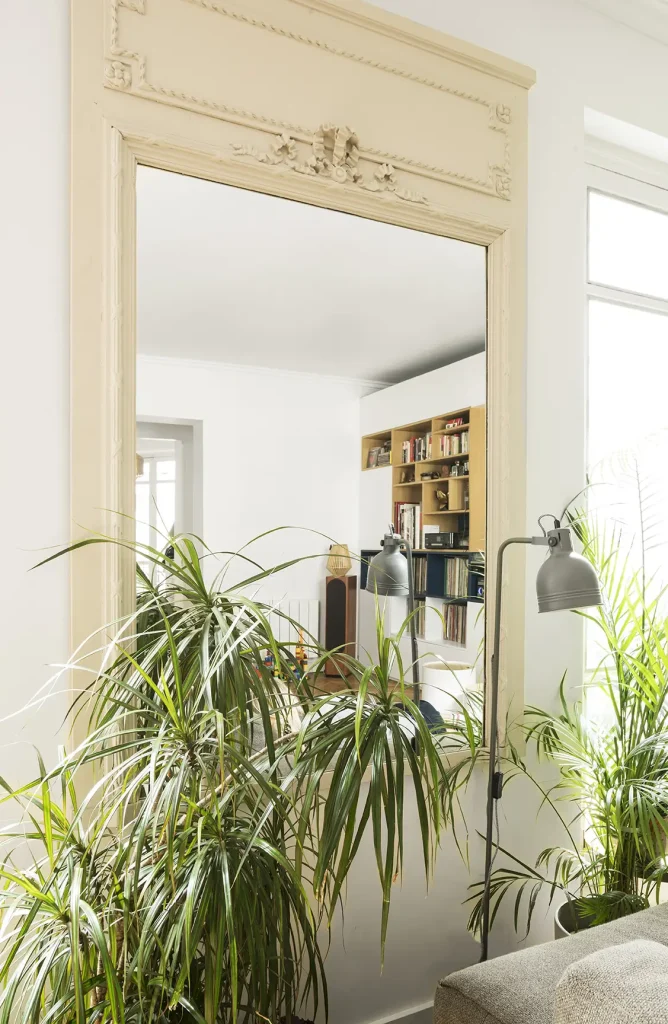 Salon d'appartement avec un grand miroir et des plantes vertes
